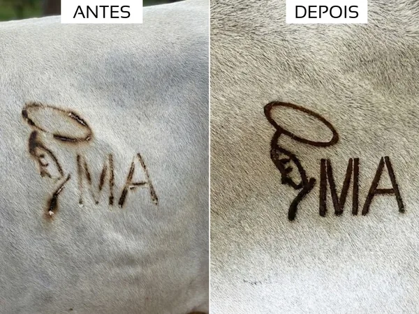 Resultado Santa